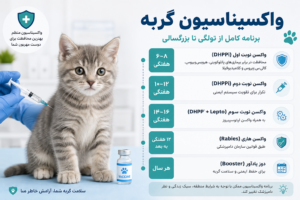 واکسیناسیون گربه توسط دامپزشک