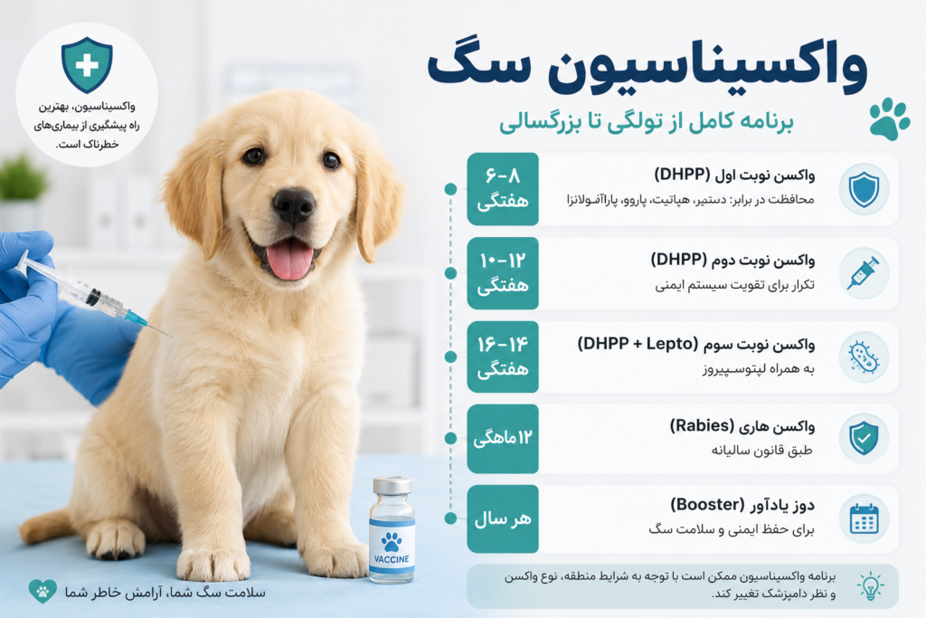 واکسیناسیون سگ توسط دامپزشک
